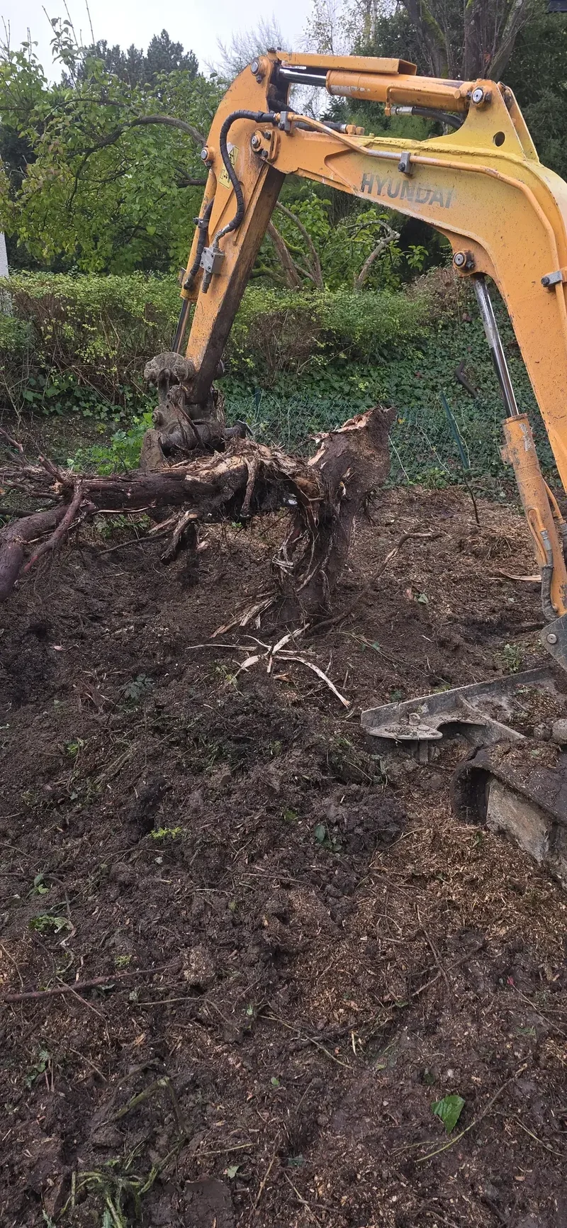 Dessouchage à la mini pelle